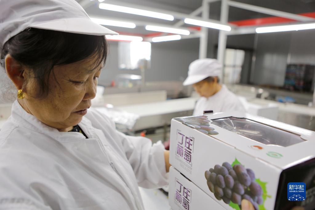 新开捕鱼网站